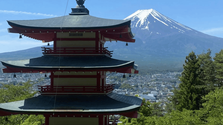 From Tokyo: Mount Fuji Day Trip By English Speaking Driver - Tour Overview