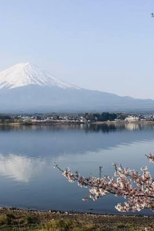 From Tokyo: Mount Fuji Day Trip - Pickup Locations