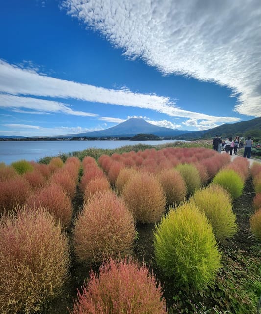 From Tokyo: Mount Fuji Private Tour With Driver