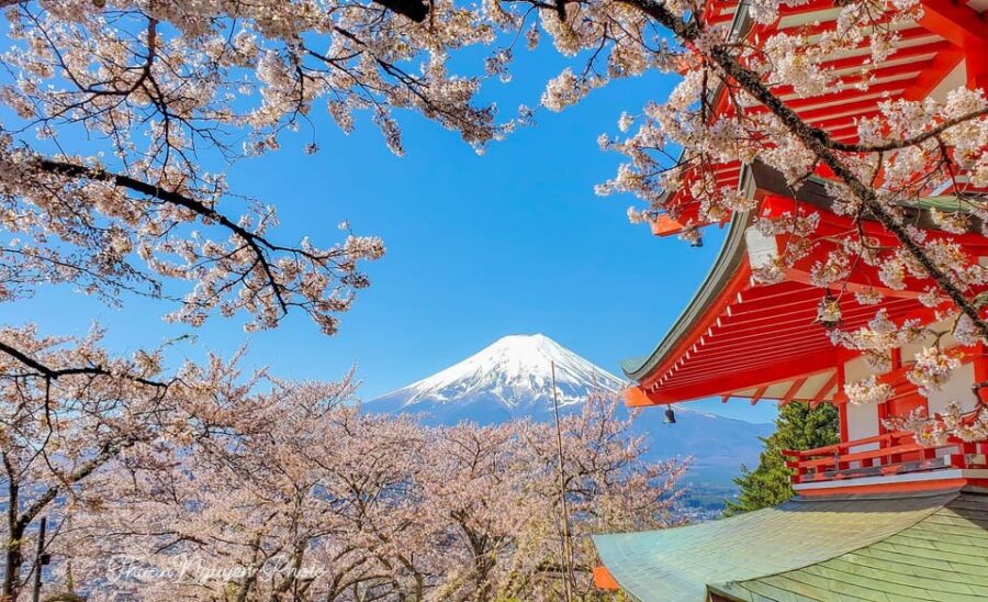 From Tokyo: Mt Fuji and Lake Kawaguchiko Private Day Trip