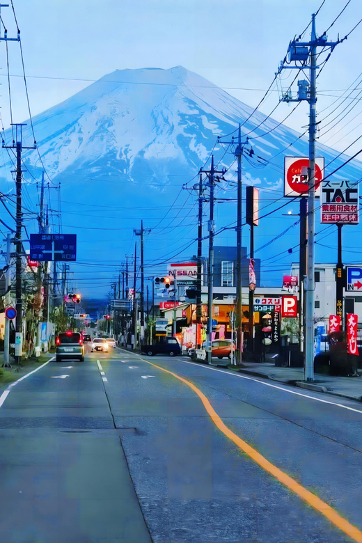 From Tokyo: Mt Fuji Instagram-Worthy Full-Day English Tour