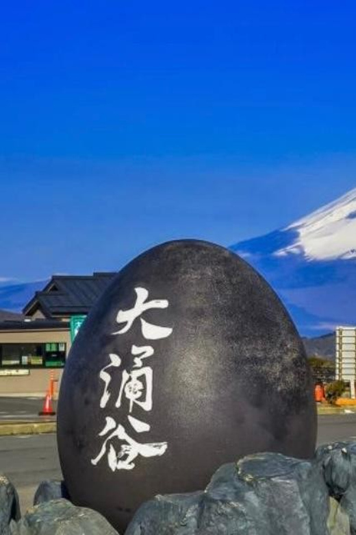 From Tokyo: Mt. Fuji or Hakone Private Sightseeing Day Trip - Sightseeing Highlights