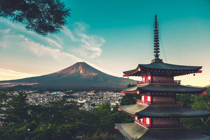 From Tokyo: Mt. Fuji or Hakone Private Sightseeing Day Trip