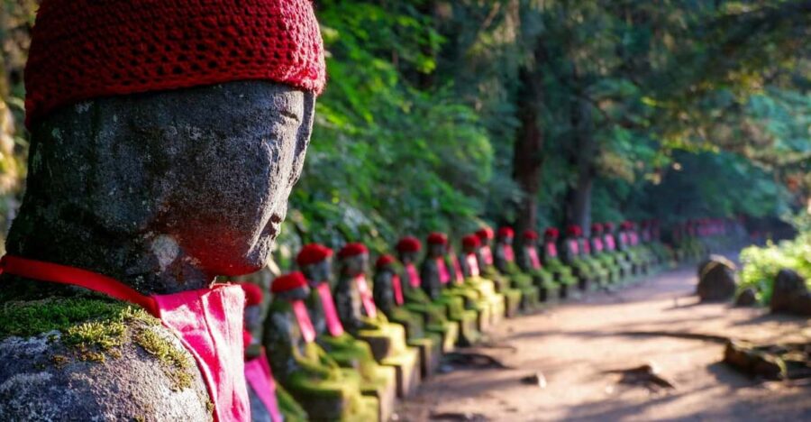 From Tokyo: Nikko Private City Sightseeing Tour With Driver