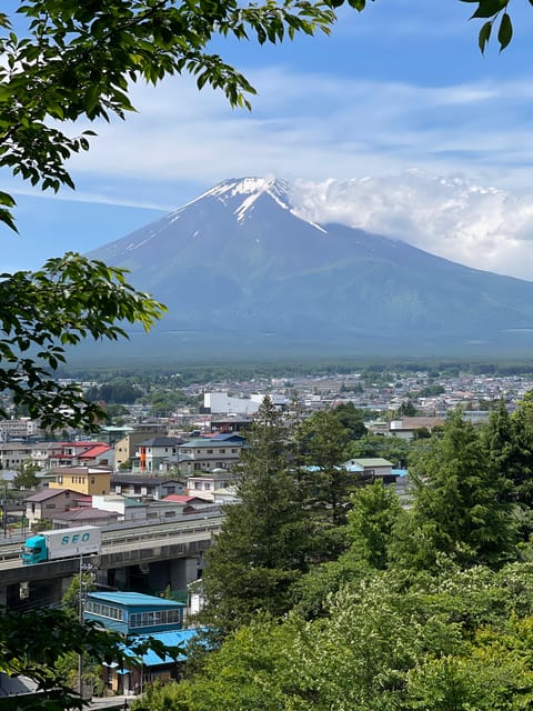 From Tokyo: Private Mt. Fuji Tour With Guide