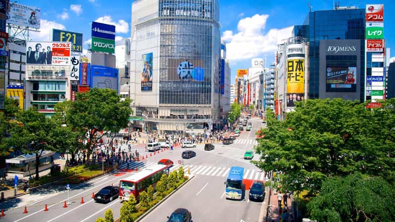 From Tokyo Private Tour With English Speaking Driver