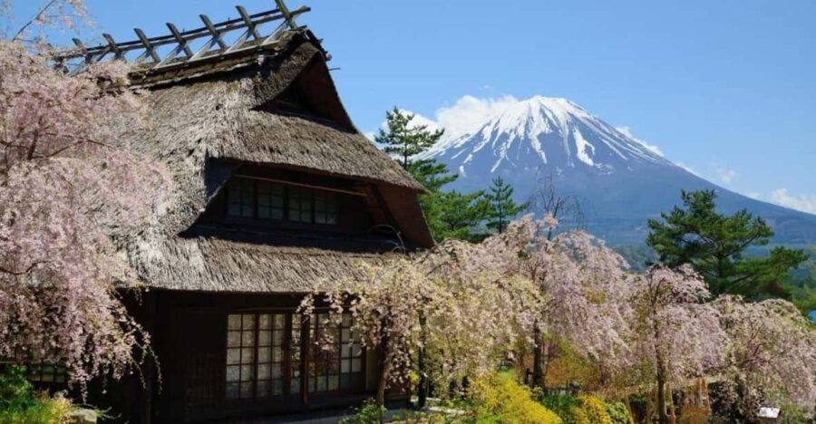 From Tokyo, Yokohama: Mount Fuji Sightseeing Trip - Departure From Tokyo