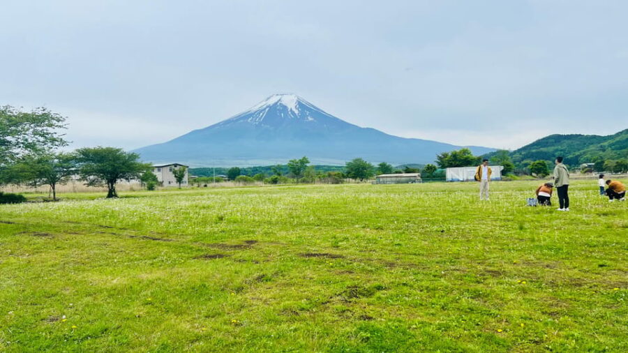 From Tokyo/ Yokohama: Private Day Trip To Mt. Fuji/Hakone