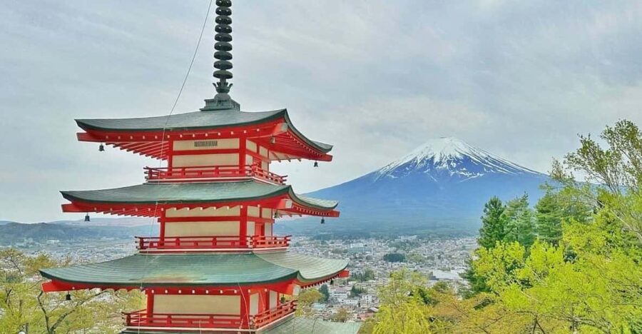 From Tokyo:Mount Fuji Customize Day Tour With English Driver - Tour Overview