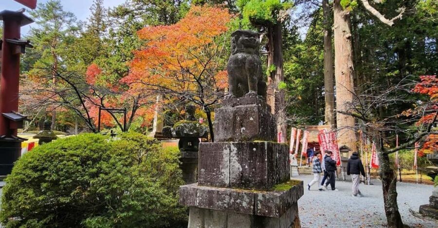 From Tokyo:One Day Nikko Tour With English Speaking Driver