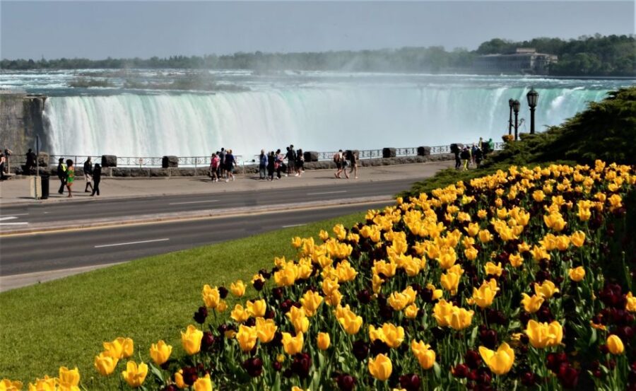 From Toronto: Niagara Falls Day Trip - Trip Overview and Pricing