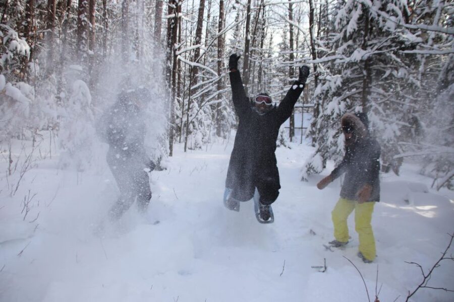 From Toronto: Snow Tubing and Snowshoeing Day Trip - Overview and Pricing