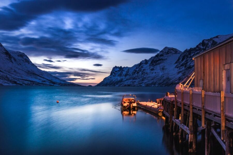From Tromsø: Arctic Wildlife & Fjord Sightseeing Tour by Car