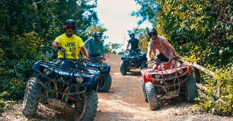 From Tulum: ATV Ride With Monkey Sanctuary and Cenote Trip - Tour Overview and Pricing