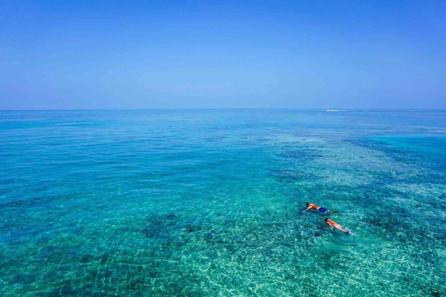 From Tulum: Cenote Riviera Maya & Snorkel Excursion