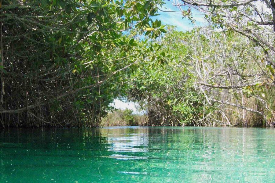 From Tulum: Sian Ka’An Muyil Lagoon Tour