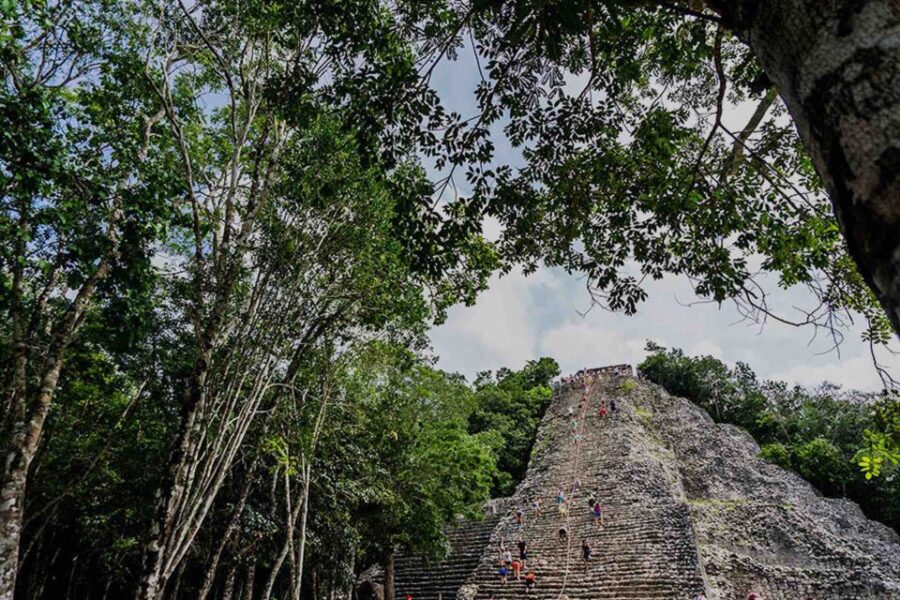From Tulum: Temazcal & Cenote Private Experience