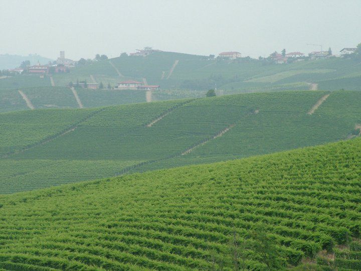 From Turin: 8-Day Cycling Tour in Piedmont