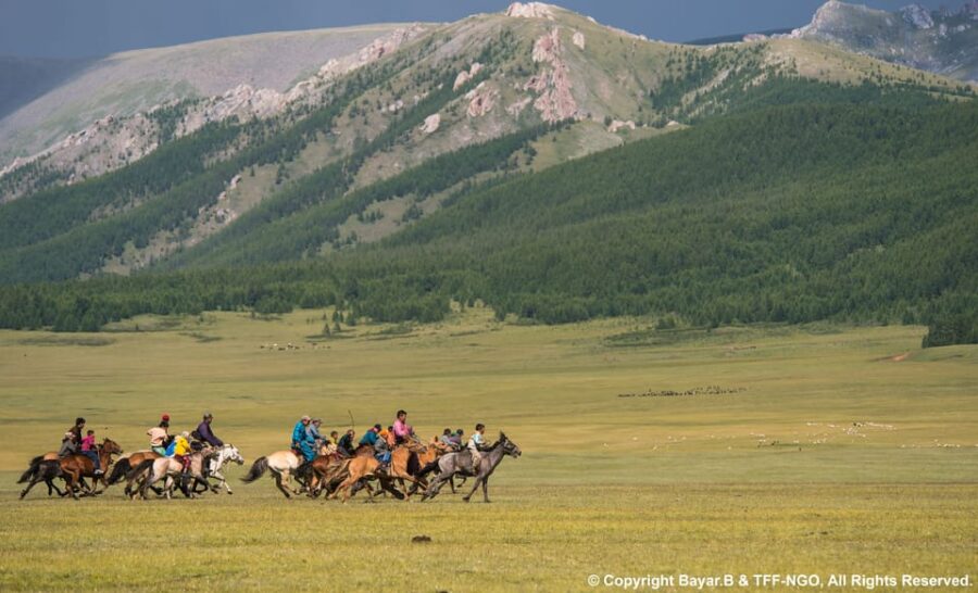 From Ulaanbaatar: Mini Gobi and Terelj Tour
