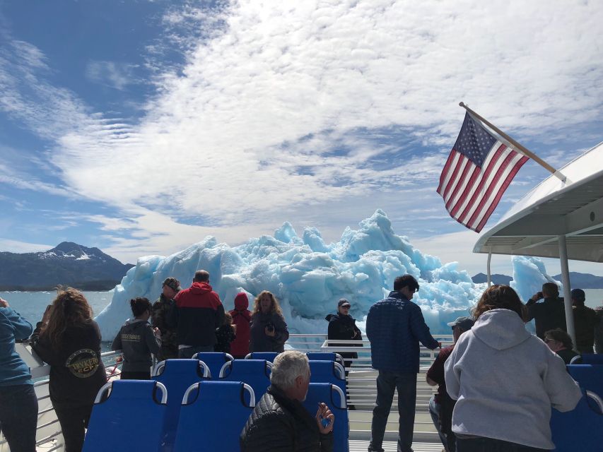 From Valdez: 7.5-hour Meares Glacier & Wildlife Cruise