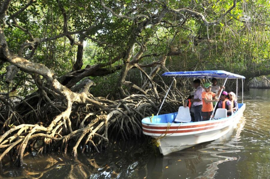 5 Best Cruises And Boat Tours In Veracruz