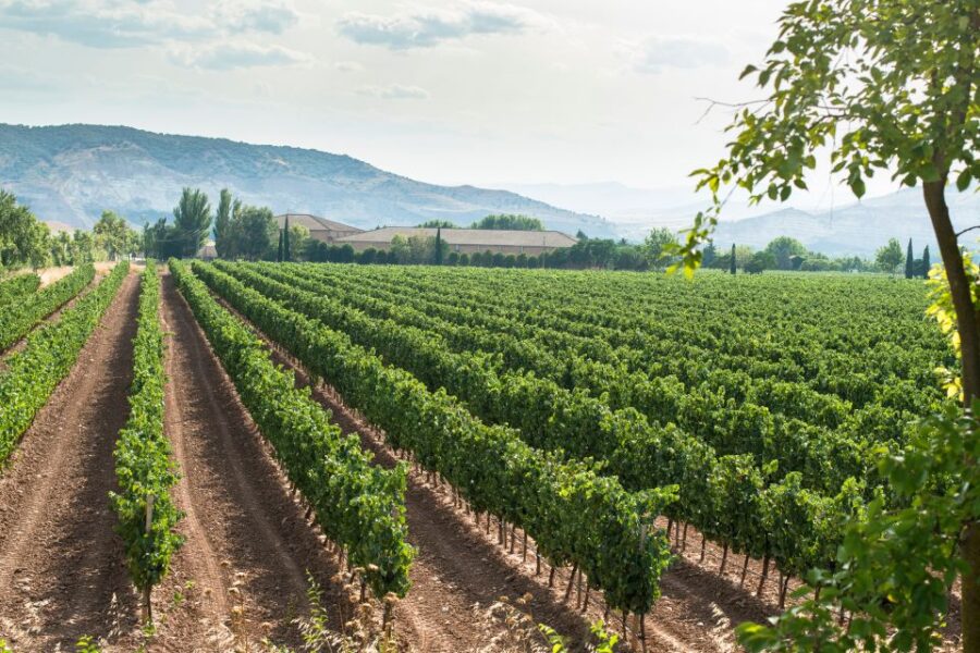 2 Best Full-Day Tours In Verona