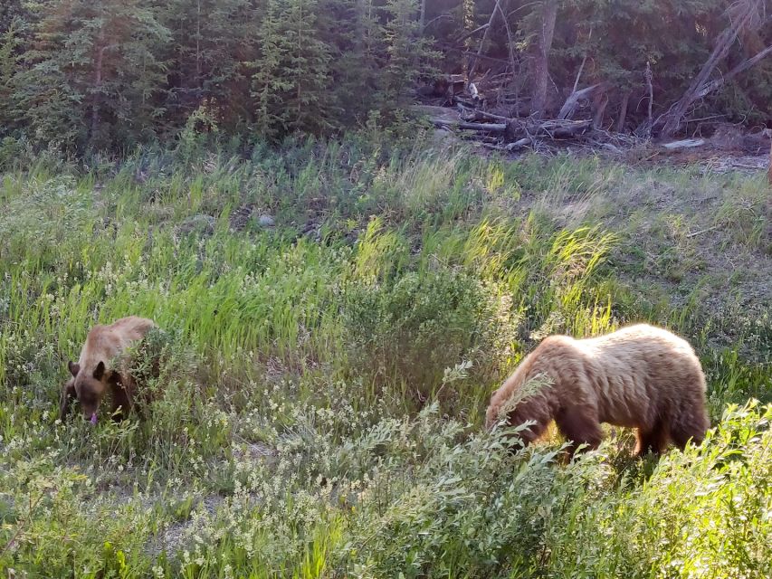 From Whitehorse: Skagway Day-Trip