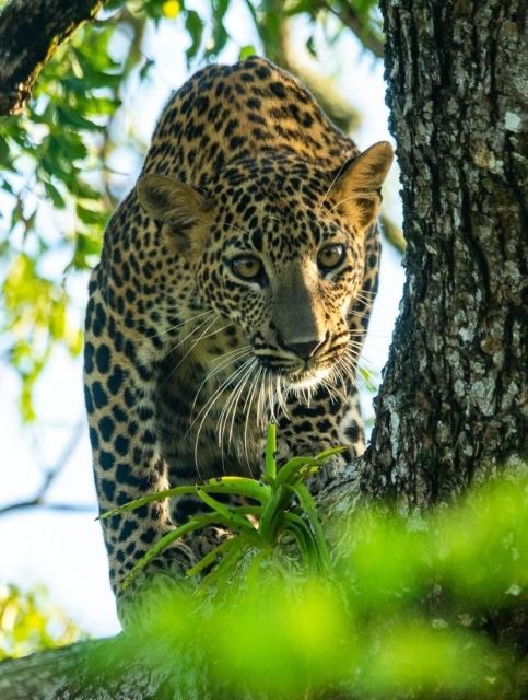 5 Best National Park Tours In Kataragama