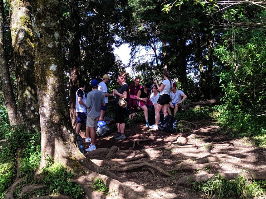 From Yogyakarta: Mount Merbabu One Day Hiking Tour - Tour Overview