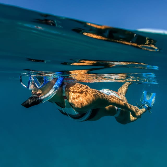 3 Best Snorkeling Experiences In Preko