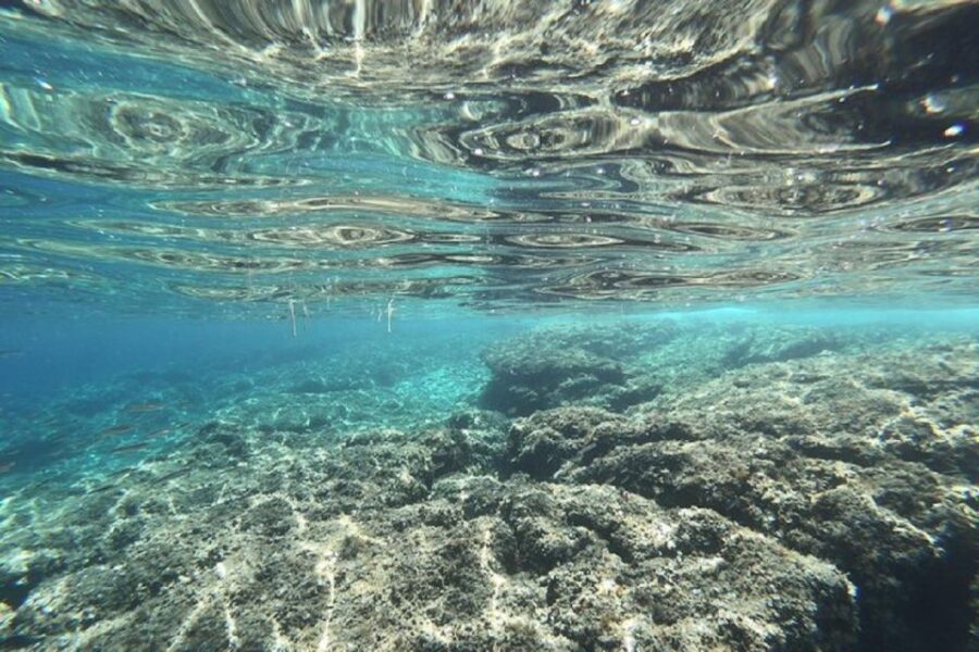 From Zadar: Full Day Sailing Tour