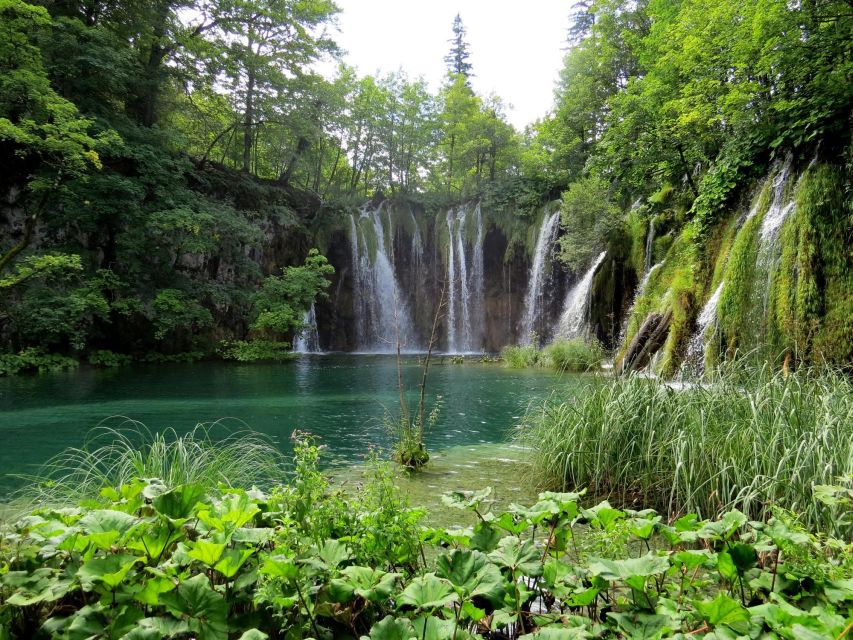 From Zagreb to Zadar: Plitvice Lakes Private Tour