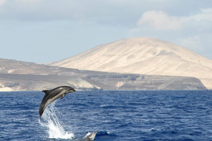 Fuerteventura: Catamaran Sailing Navigation. Maximum 10 People