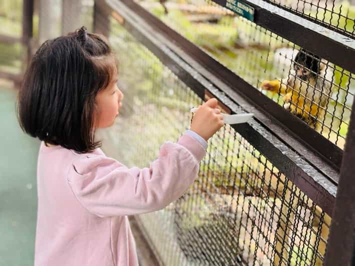 Fukuoka: Kyushu Natural Animal Park & Yufuin One Day Tour