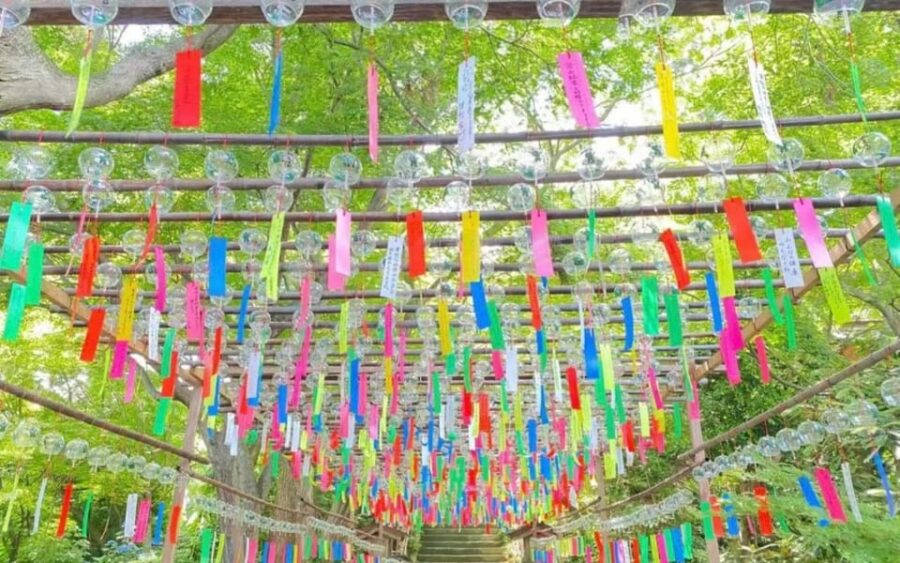 Fukuoka: Nyoirinji Frog Temple & Beppu & Yufuin One-Day Tour