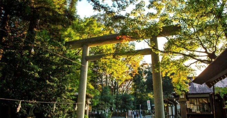 Fukuoka Takachiro Gorge Amanoyasugawara Shrines One Day Tour