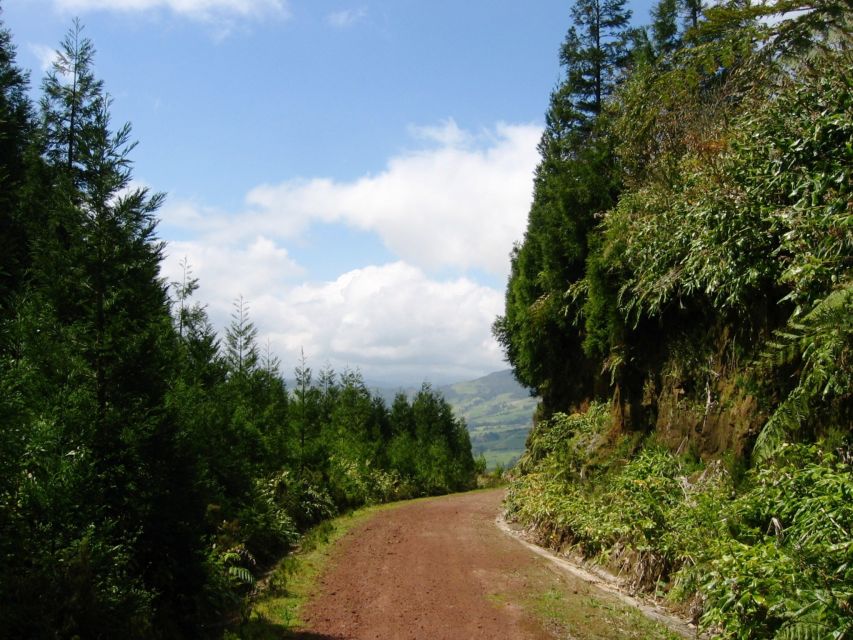Full-Day 4×4 Nordeste Azores Tour From Ponta Delgada