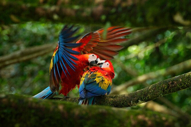 3 Best National Park Tours In Drake Bay