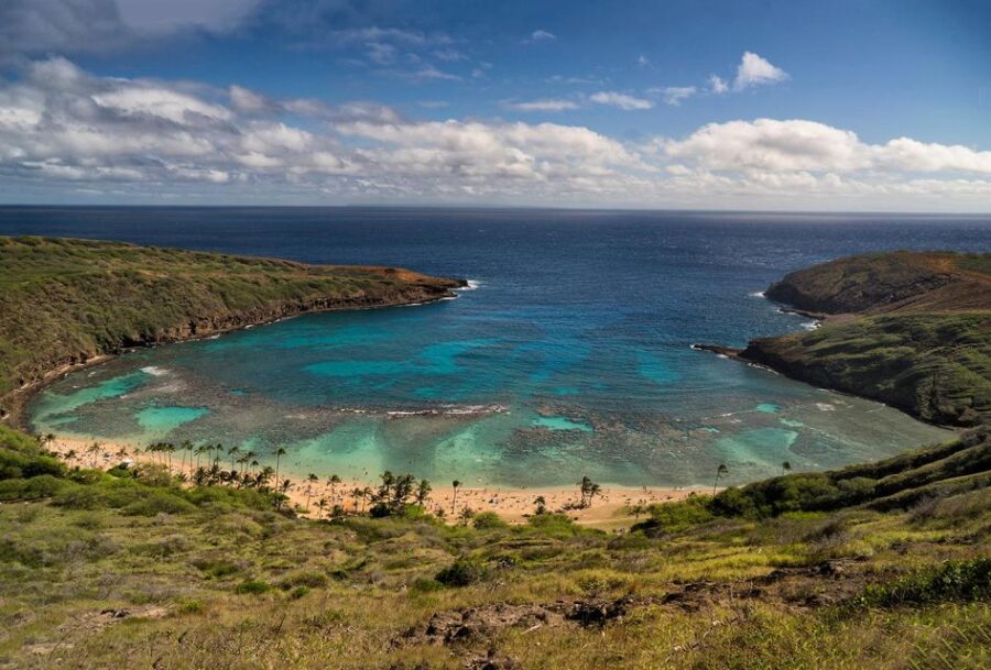 Full Day Best of Oahu Sightseeing Tour