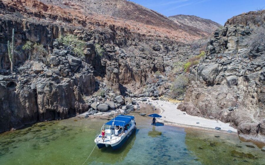 Full-day Guided Tour Espíritu Santo Island & Sea Lions - Tour Overview