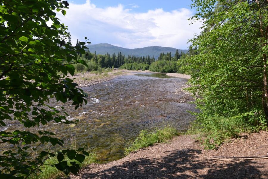 Full Day Ice Museum and Chena Hot Springs Tour
