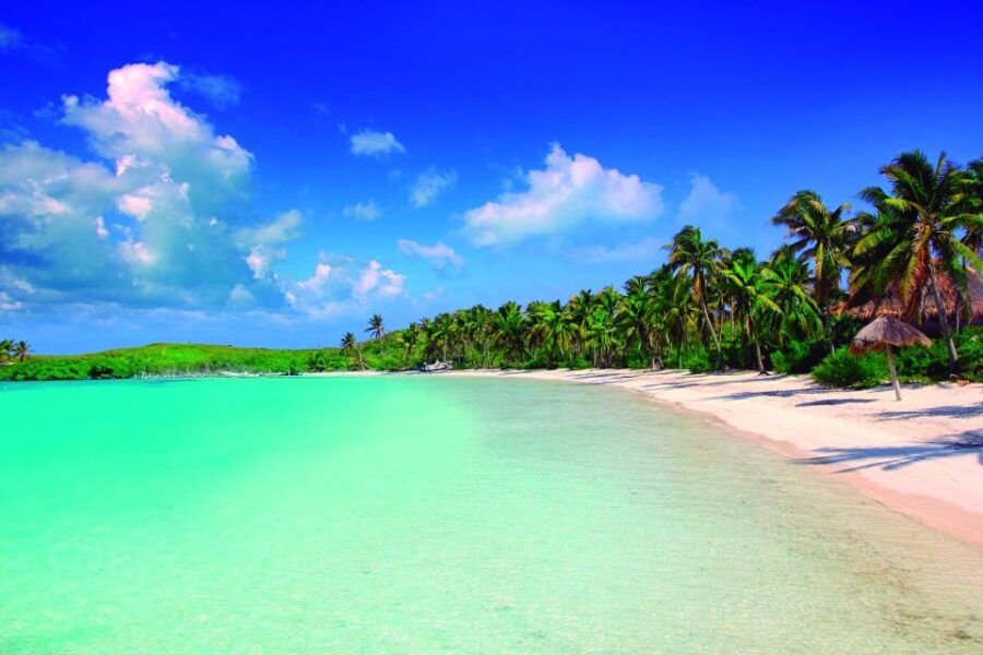 Full Day Nature Expedition to Contoy Island and Isla Mujeres