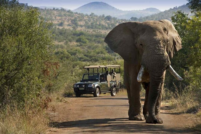 Full Day Pilanesberg Safari Tour