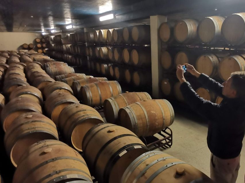 Full Day Private Tour of Olive Oil , Salt Flats and Winery