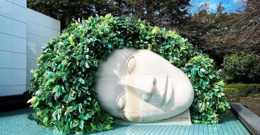 3 Best Full-Day Tours In Hakone