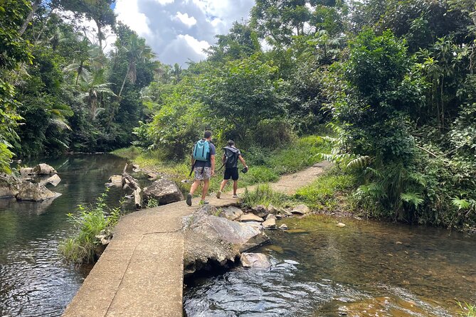 Full-Day Tour of Guavate and Charco Azul in Puerto Rico