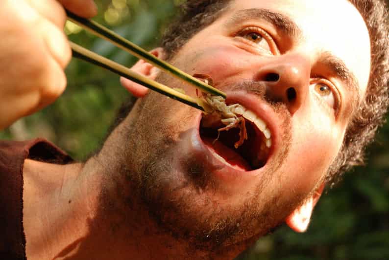 Full Day Trekking Tour in Chiang Rai