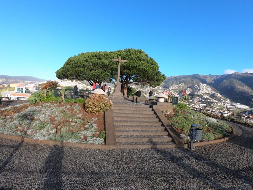 Funchal: Cabo Girão, Wine Tasting and Dolphin Watching