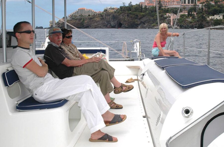 Funchal: Dolphin and Whale Watching Catamaran Cruise
