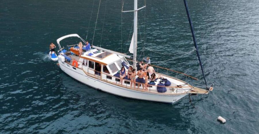 Funchal: Dolphin and Whale Watching Sailing Trip